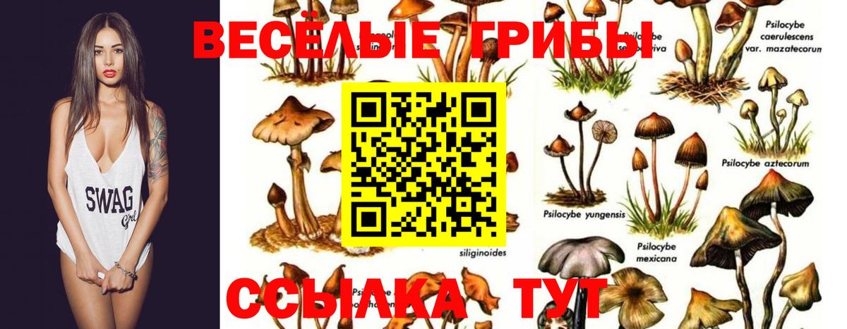 Кандалакша  Галлюциногенные грибы мухоморы  Вход с VPN  Галлюциногенные грибы прущие грибы 