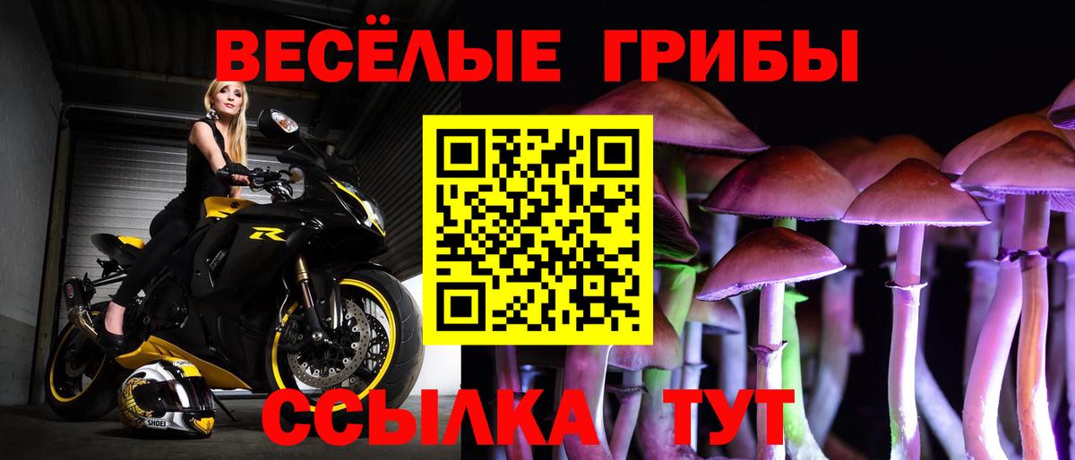 Псилоцибиновые грибы MAGIC MUSHROOMS Кандалакша